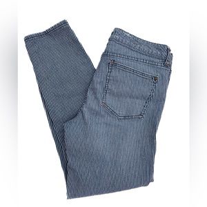 ANTHROPOLOGIE Pilcro No 29 Blue & White Stripe Railroad Conductor Jeans
